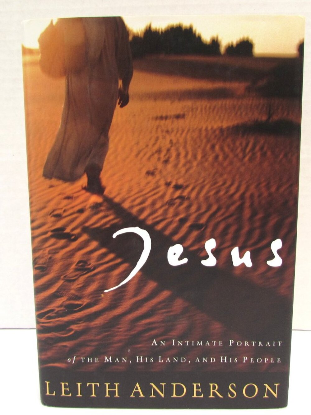 Jesus An Intimate Portrait Of The Man His Land And His People Leith Anderson HC